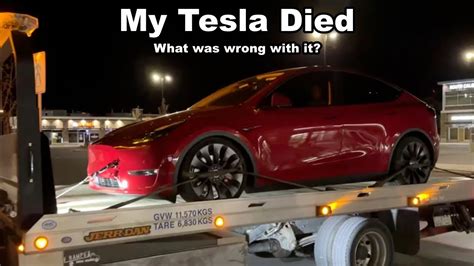 how many people have teslas killed.